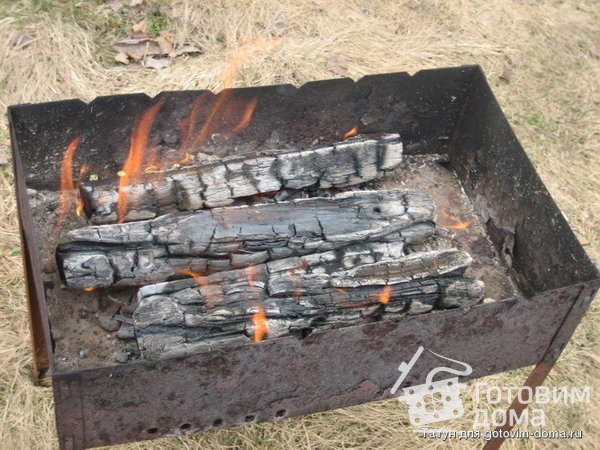 Шашлык с шампиньонами в гранатовом соке фото к рецепту 7