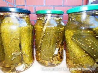 Огурцы консервированные