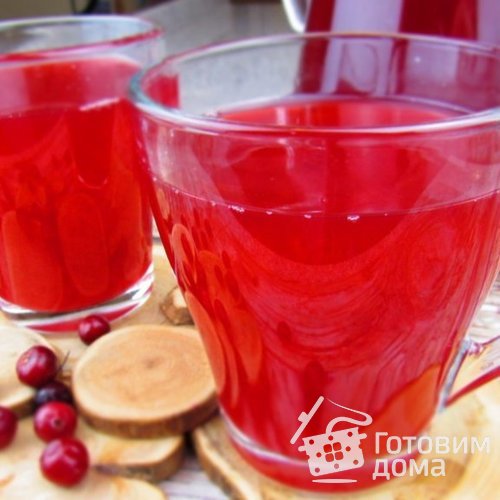 Морс из клюквы