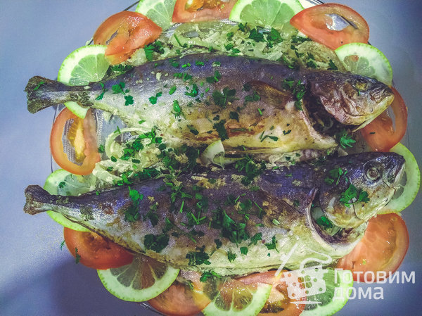 Рыба в сметанном соусе запеченная в духовке фото к рецепту 1