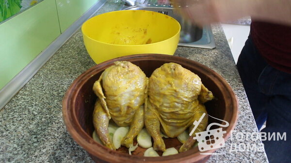 Цыплята корнишоны запеченные с яблоками фото к рецепту 11