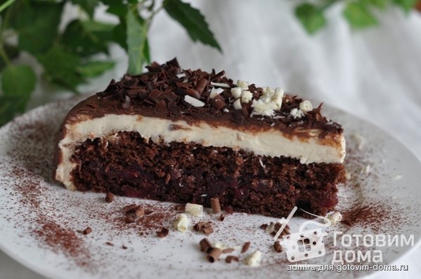 Торт шоколадно-сливочный с ягодной прослойкой фото к рецепту 2