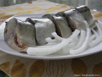 Скумбрия соленая