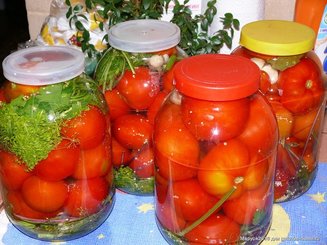Помидоры (холодный способ)