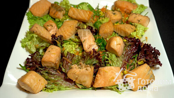 Салат с семгой и цитрусовой заправкой фото к рецепту 10