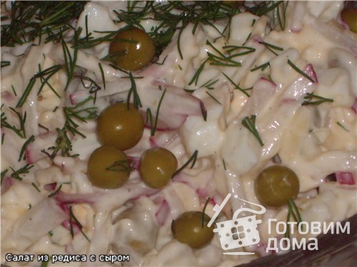 Салат из редиса с сыром и яйцами фото к рецепту 1