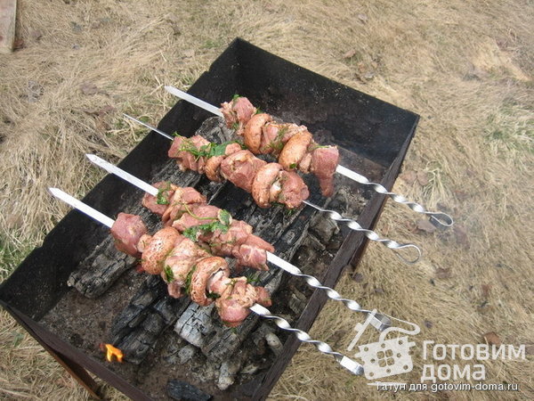 Шашлык с шампиньонами в гранатовом соке фото к рецепту 8