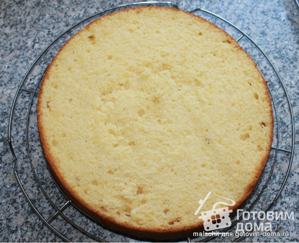 Желтково-маслянный бисквит фото к рецепту 7