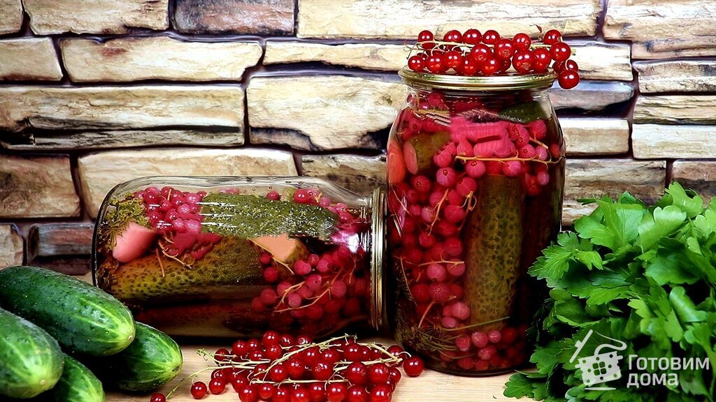 Огурцы с красной смородиной на зиму 5 рецептов с пошаговыми фото