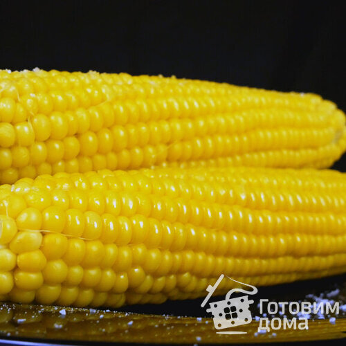 Как правильно готовить кукурузу в початках: секреты приготовления