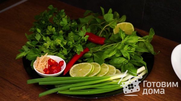 Домашний адаптированный вьетнамский суп Фо Бо фото к рецепту 7