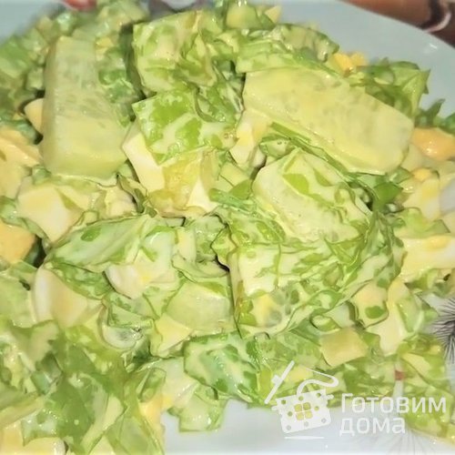 Зеленый весенний салат с зеленью и яйцом.