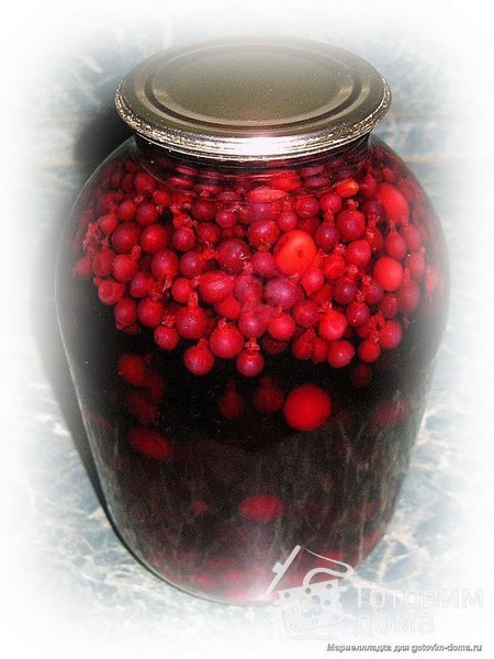 Компот из вишни с красной и чёрной смородиной фото к рецепту 1