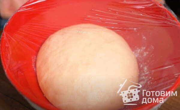 Милашино тесто - самое быстрое дрожжевое тесто для пирожков фото к рецепту 4