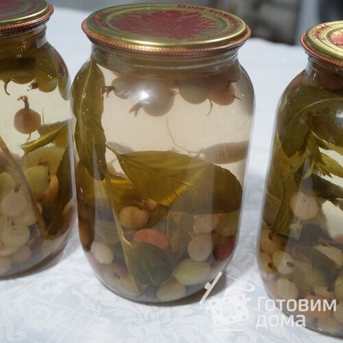 Компот из крыжовника на зиму