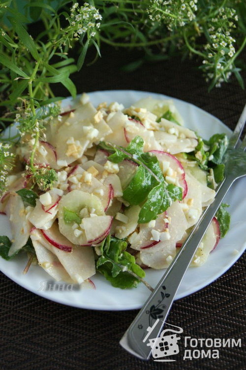 Баварский салат с редиской, редькой и огурцом