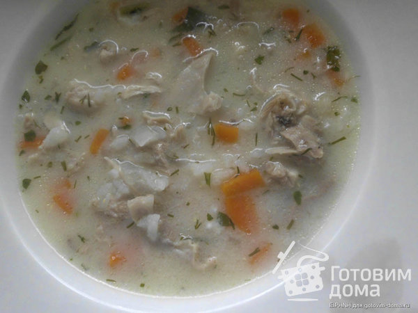 Котосупа (куриный суп) фото к рецепту 3