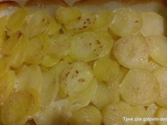 Картофель запеченый в молочном соусе