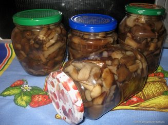 Маринованные белые грибы