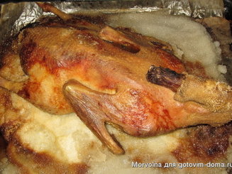 Курочка с корочкой