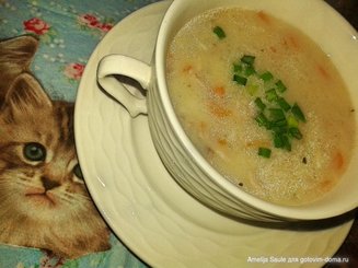 Котосупа (куриный суп)