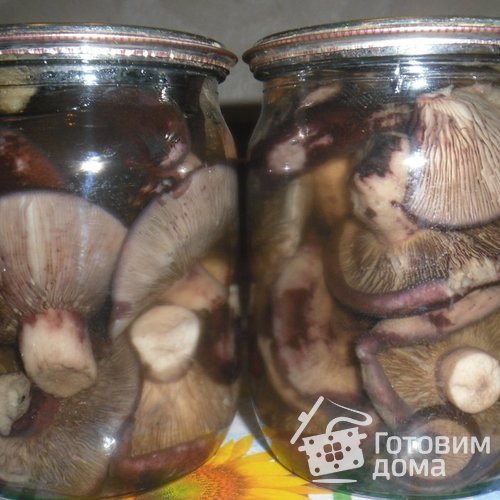 Грузди маринованные (на зиму)