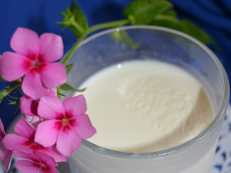" Panna Cotta " с ягодным соусом