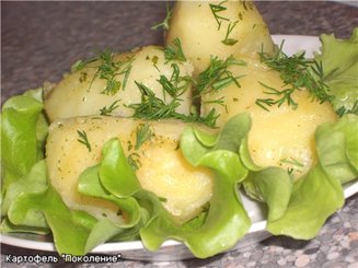 Картофель "Поколение"