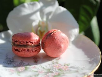 macarons