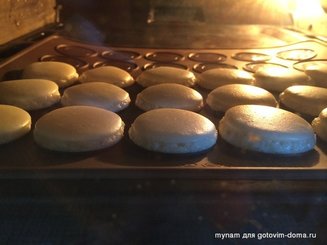 macarons