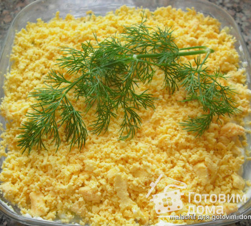 Салат из курицы со свежим огурцом и черносливом