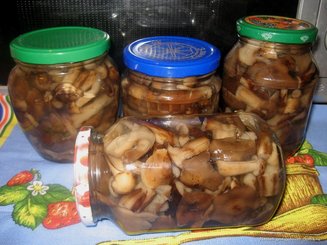 Маринованные белые грибы