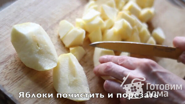 Пирог с яблоками, изюмом и курагой в духовке фото к рецепту 1