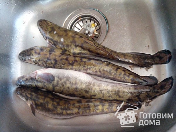 Налим запеченный с болгарским перцем и овощами фото к рецепту 2