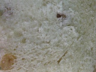 Куличи (4 варианта)