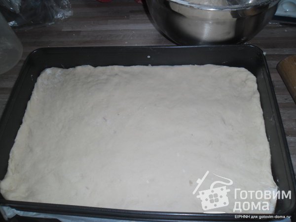 Сливовый пирог (из творожного теста со сметанной заливкой) фото к рецепту 1