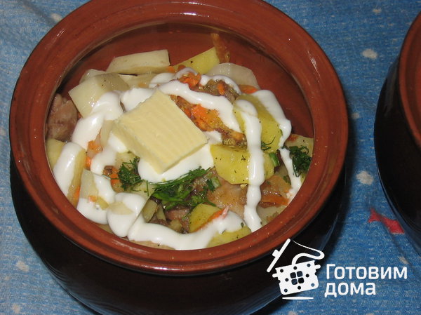 Курица, тушенная с картофелем в горшочке фото к рецепту 1