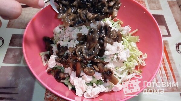 Салат из пекинской капусты с грибами и мясом фото к рецепту 2