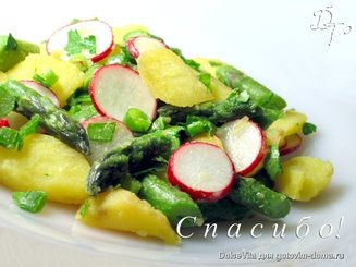 Картофельный салат с редиской и спаржей