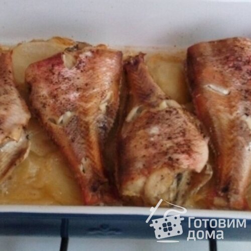 Морской окунь в духовке