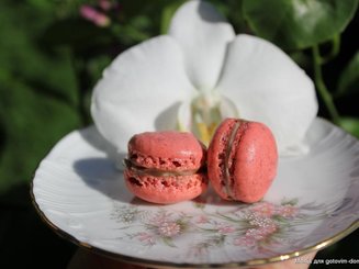 macarons