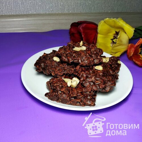 Шоколадное печенье с овсяными хлопьями без выпечки