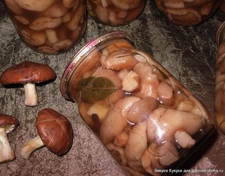 Маринованные грибы на зиму