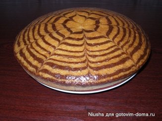 Зебра