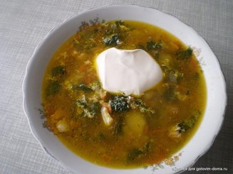 Куриный суп со свежей крапивой